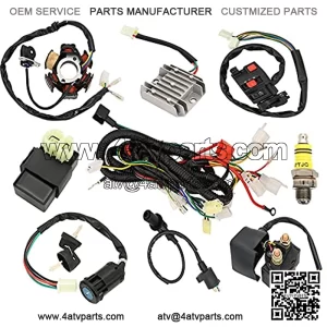 Rain King Complete GY6 Wiring Harness kit Electrics Stator Coil CDI Ignition Coil for Wiring Harness 50cc 70CC 90CC 110CC 125cc 4 Stroke ATV Dirt Bike Moped Quad Go Kart Scooter
