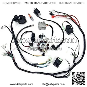 Electric Wire Harness Wiring Loom CDI Ignition Coil Spark Plug Rebuild Kit for 150CC 200CC 250CC Electric Stator CDI Coil ATV Quad Bike Buggy Go Kart