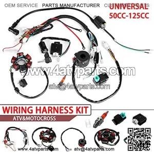 Hasde Wire Harness Wiring Loom CDI Ignition Coil Spark Plug Rebuild Kit for 50cc 70cc 90cc 110cc 125cc ATV Electric Stator CDI Coil ATV Quad Bike Buggy Go Kart
