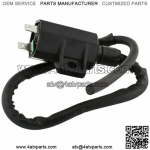 Ignition Coil for Kawasaki Prairie 650 KVF650 4X4 A2 B2 2003 Atv Ignition Coil
