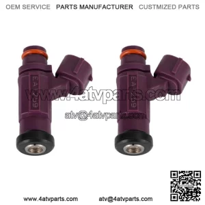 2PCS Fuel Injector 49033-2060 EAT259 For Kawasaki MULE 4000 4010 2009-2017