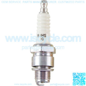 B8HS-10 Spark Plug