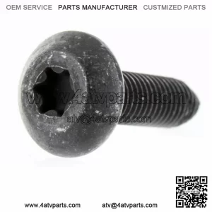 7520121 OEM Polaris Scr-tftx-m8x1.25x30 ZOD