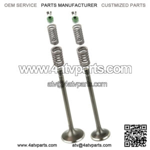 Cylinder Head Intake Exhaust Valve Kit for Honda XR200 XR200R 1980-2002
