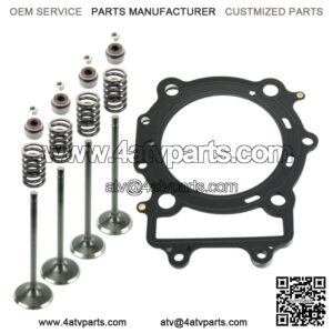 Cylinder Head Intake Exhaust Valve Kit for Arctic Cat 650 4X4 H1 2005-2011