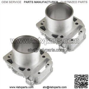 2 Cylinder for Canam 420613587 420613581 420613582 420613584 420413430 420613586 (For: Can-Am)