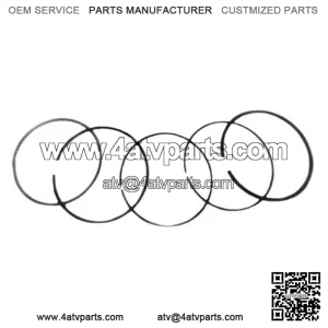 Standard Piston Rings Kit Set ATC ES TRX 250 300 FW X Honda