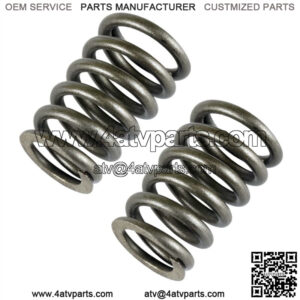 2X Valve Springs For CanAm 420239292 (For: Can-Am)