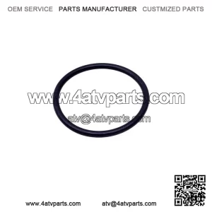 O-Ring 293300059