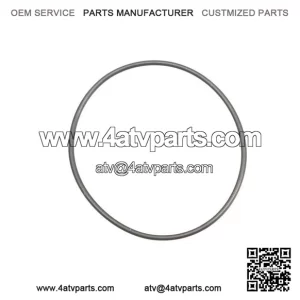 O-Ring 420831160, P420831160