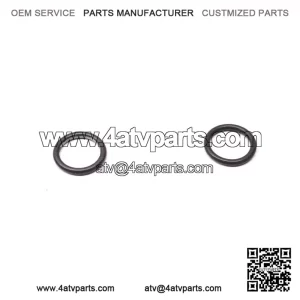 O-Ring 293300064