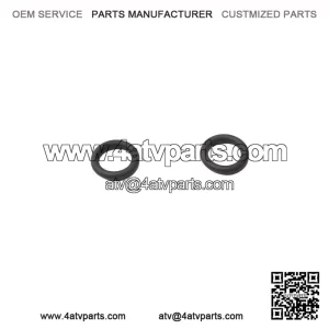O-Ring 420250290