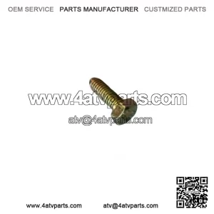 OEM Hex Screw 207161844 for 2001-07 Can-Am DS