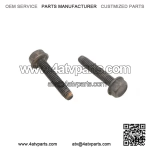 Hex Flange Screws M6x30 210263080