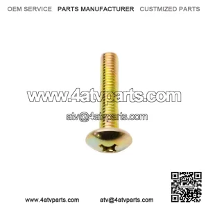 M6 x 30 Screw 250000046, P250000046