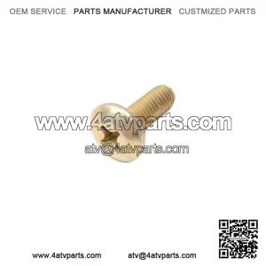 Pan Head Forming Screw 732600009