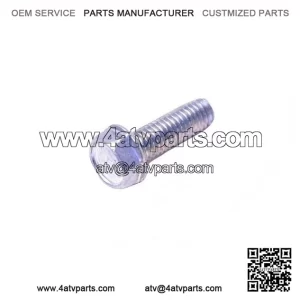 Tapping Screw 420941925