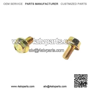 Hex Flange Screw 6x12 207661244