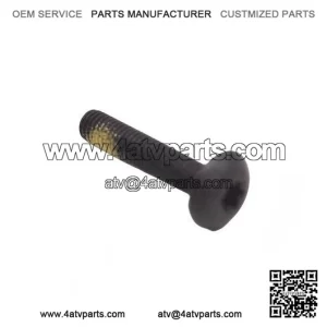 Torx Screw M5x25 250000300