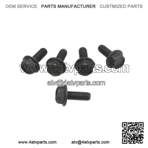 Hex Flange Screws 207661684, P207661684