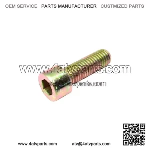 Socket Screw M10x30 205003044