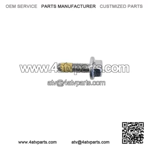 Screw 420441311