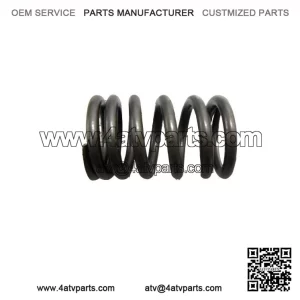 Valve Spring 420239360 Bombardier Rally 175