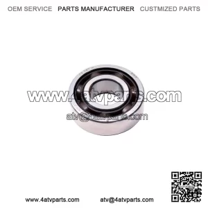 Ball Bearing 420232855